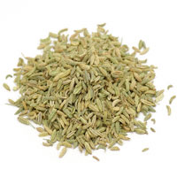 Fennel Seed (Foeniculum vulgare) 1 Oz. Package
